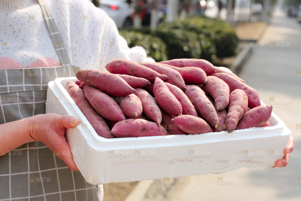 小香薯