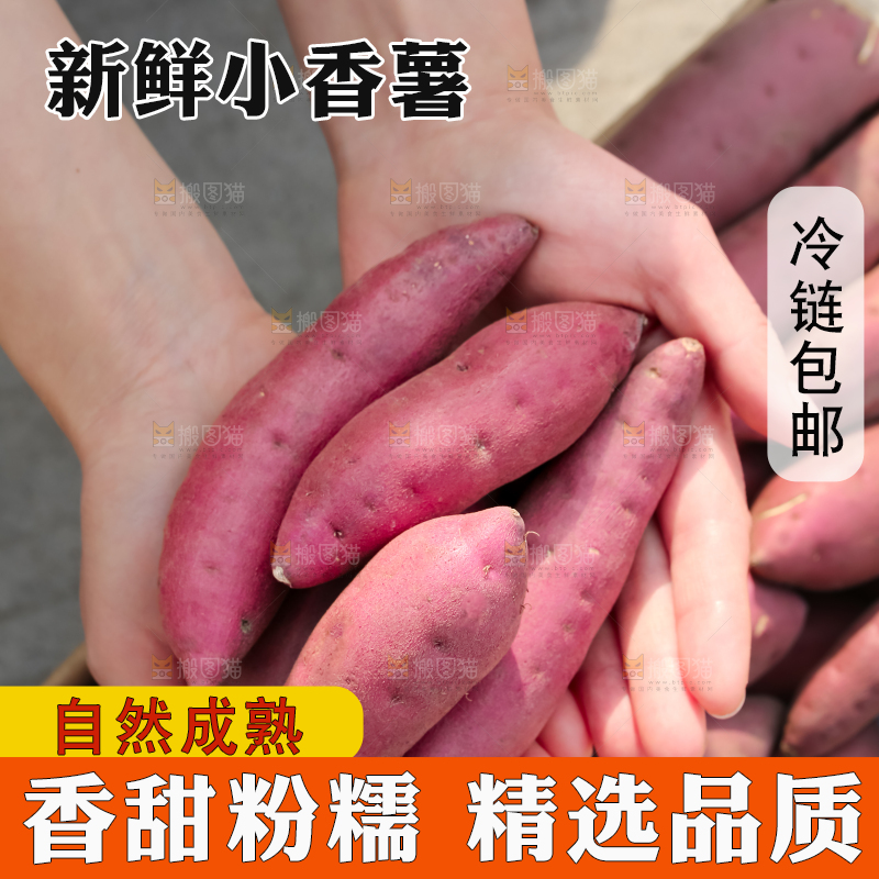 小香薯