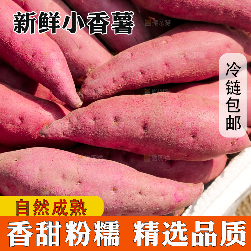 小香薯