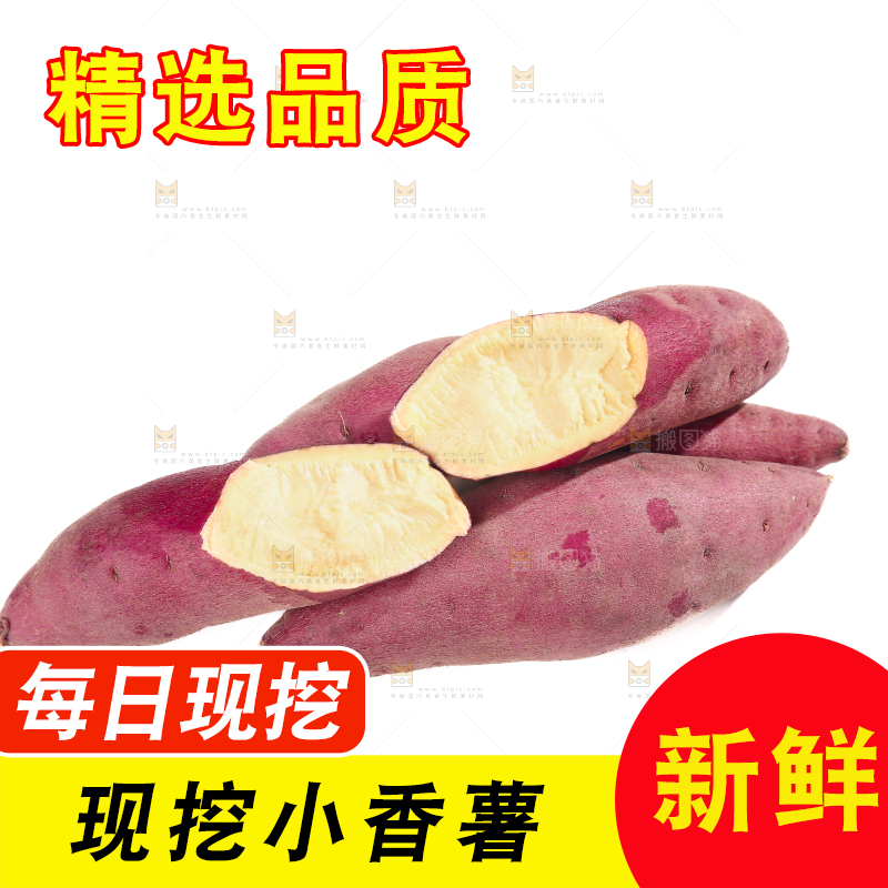 小香薯