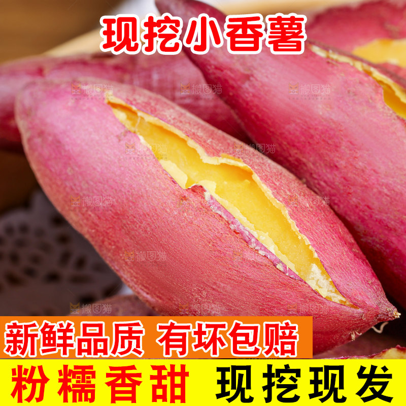 小香薯