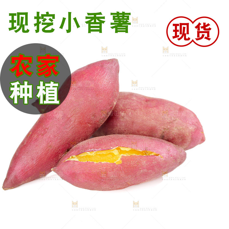 小香薯