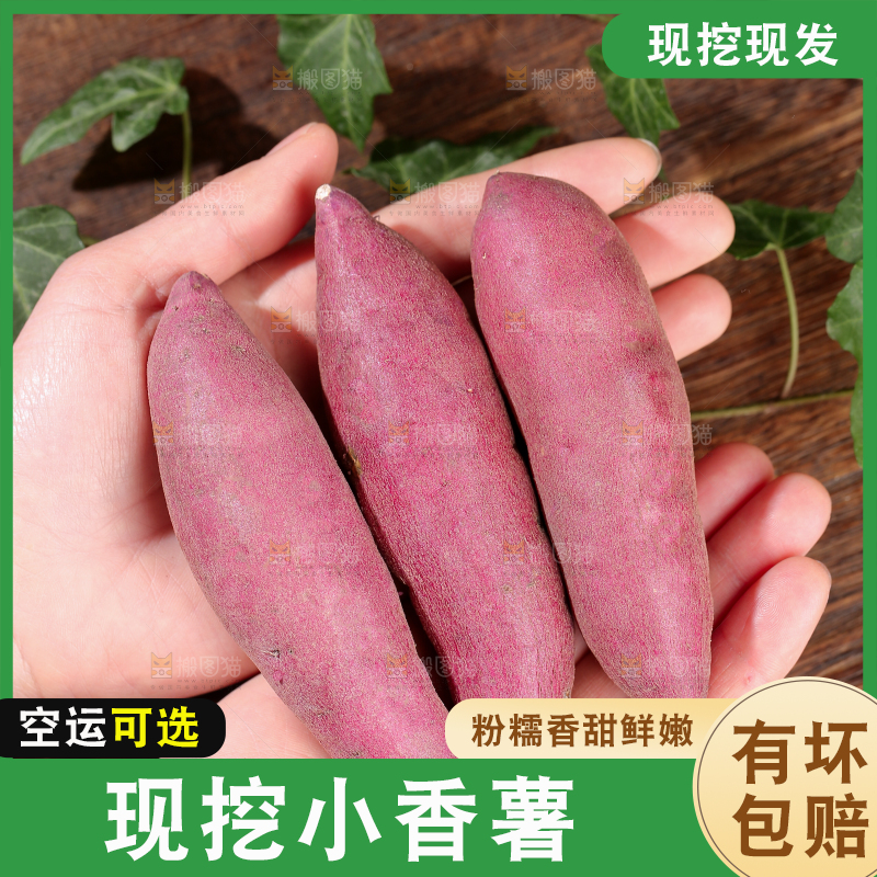 小香薯