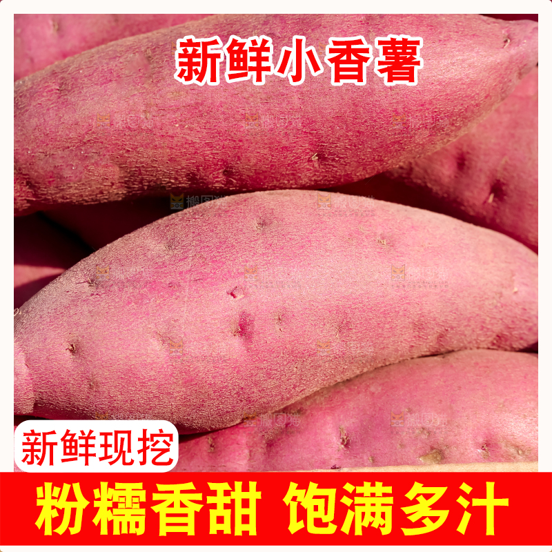 小香薯