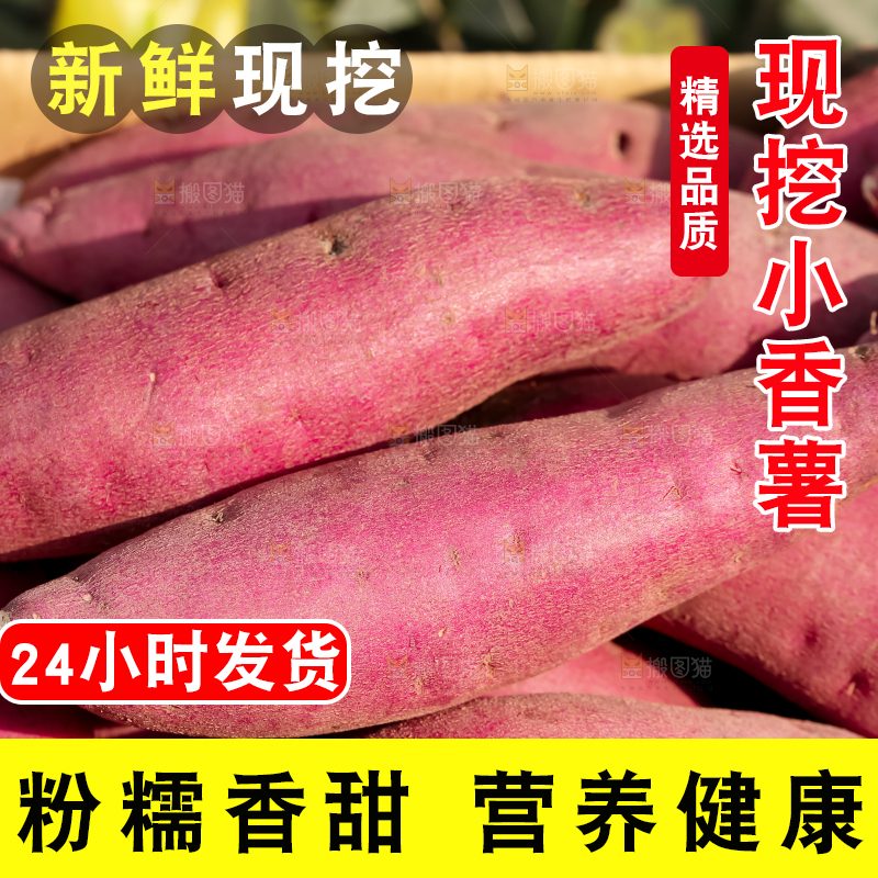 小香薯