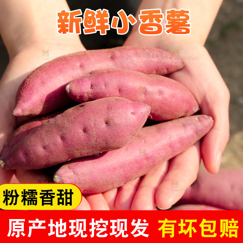 小香薯