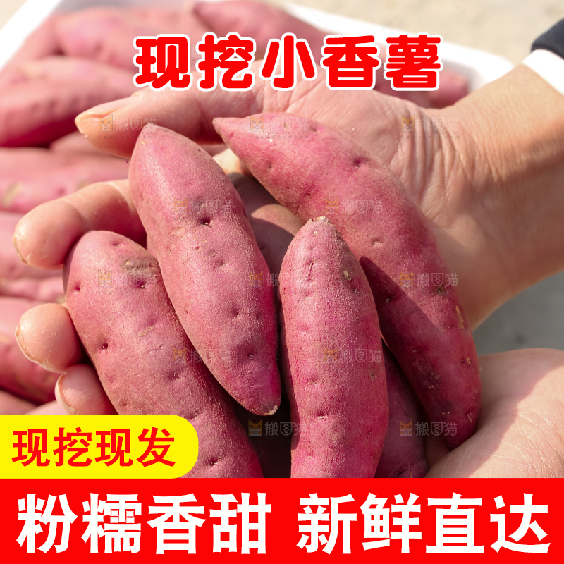 小香薯