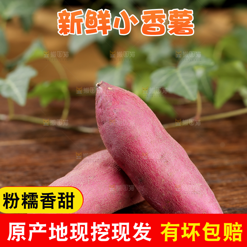 小香薯