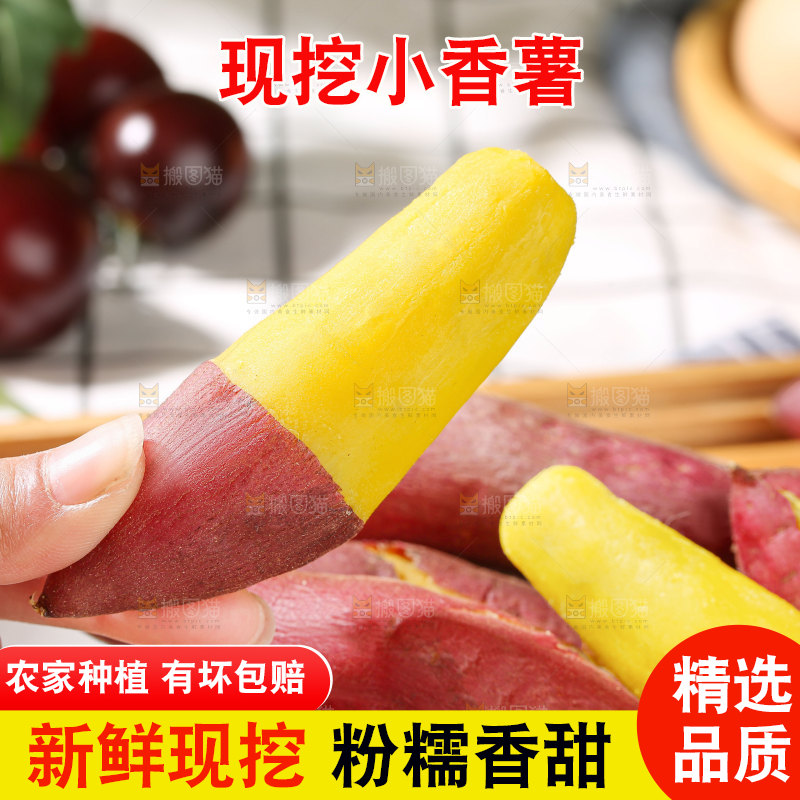 小香薯