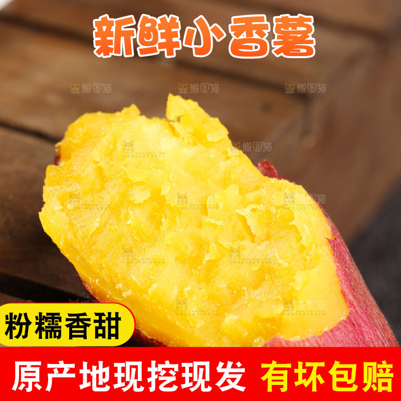 小香薯