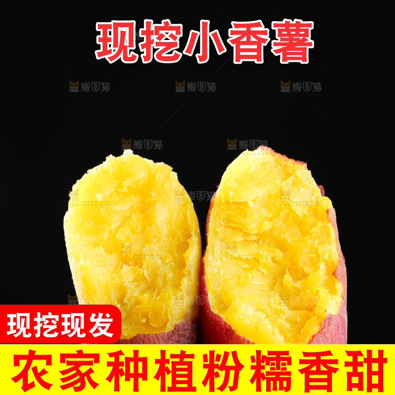 小香薯