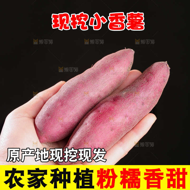 小香薯