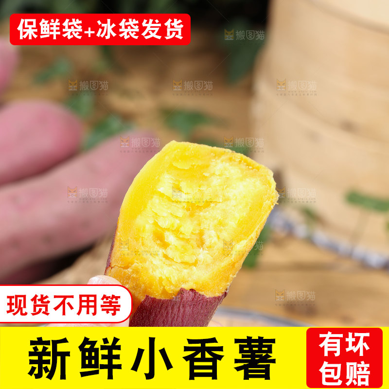 小香薯