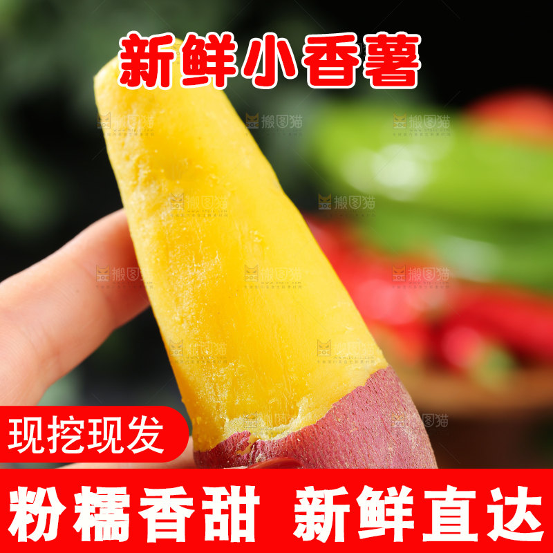 小香薯