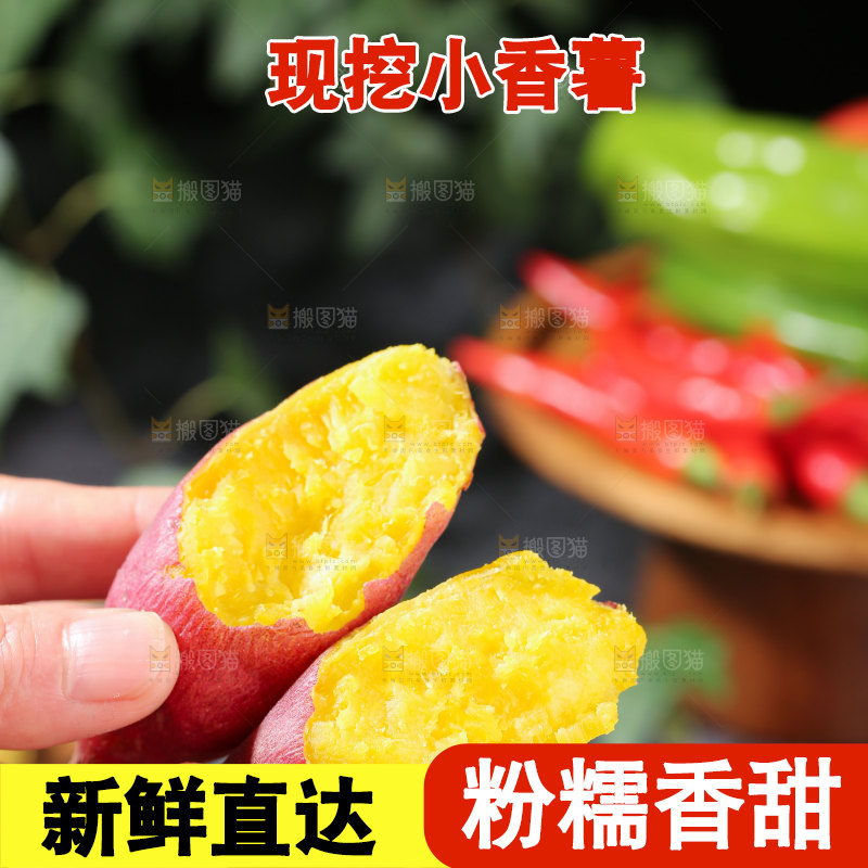 小香薯