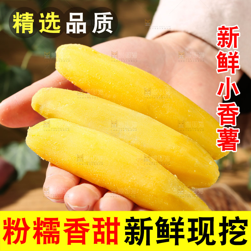 小香薯