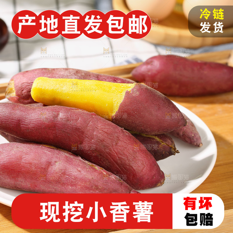 小香薯