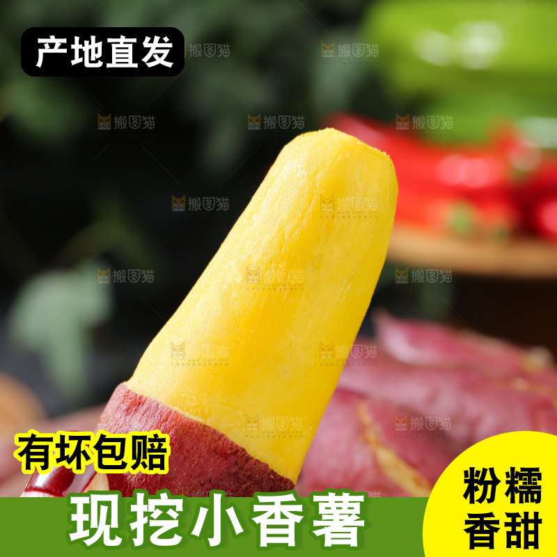 小香薯