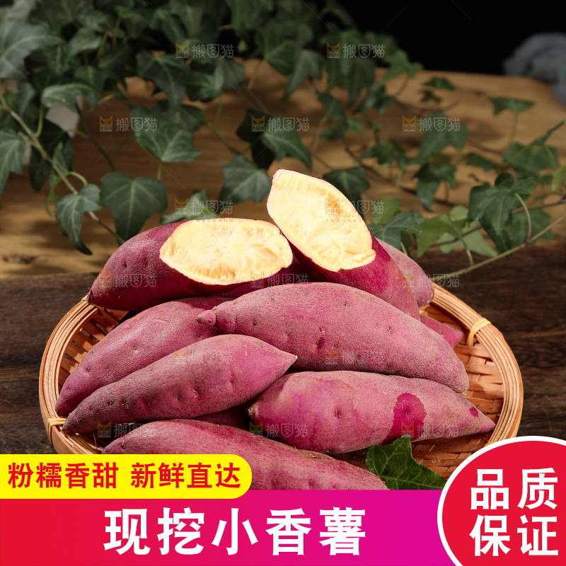 小香薯