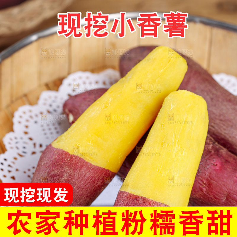 小香薯