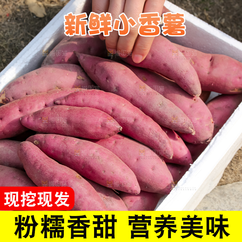 小香薯