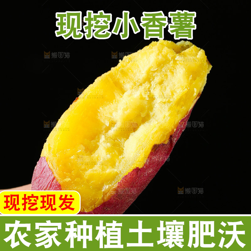 小香薯