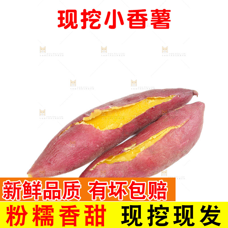 小香薯