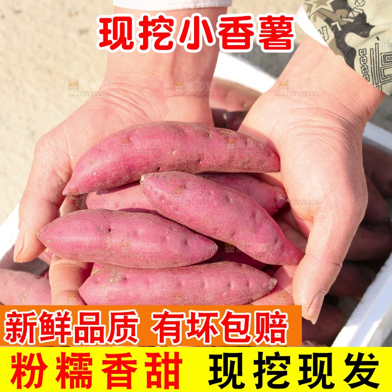 小香薯