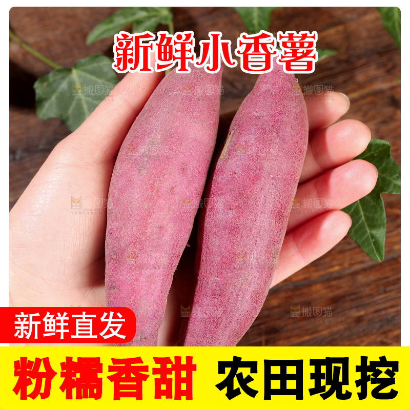 小香薯