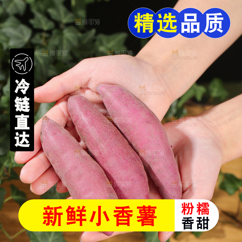 小香薯