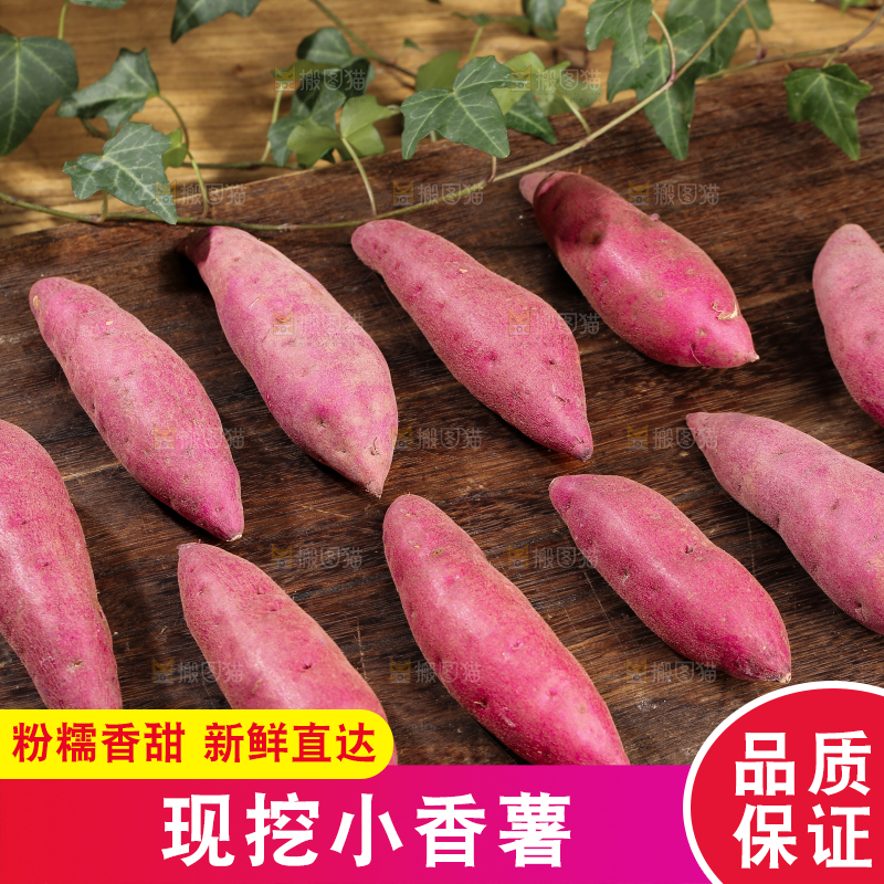 小香薯