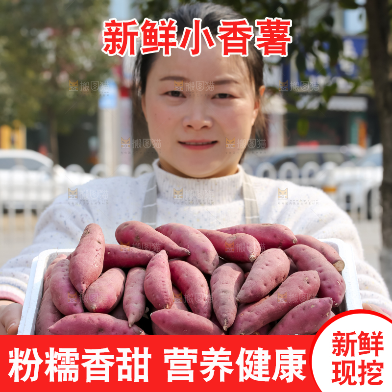 小香薯