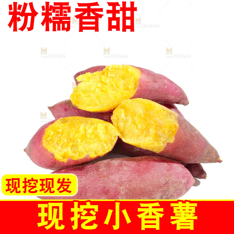 小香薯