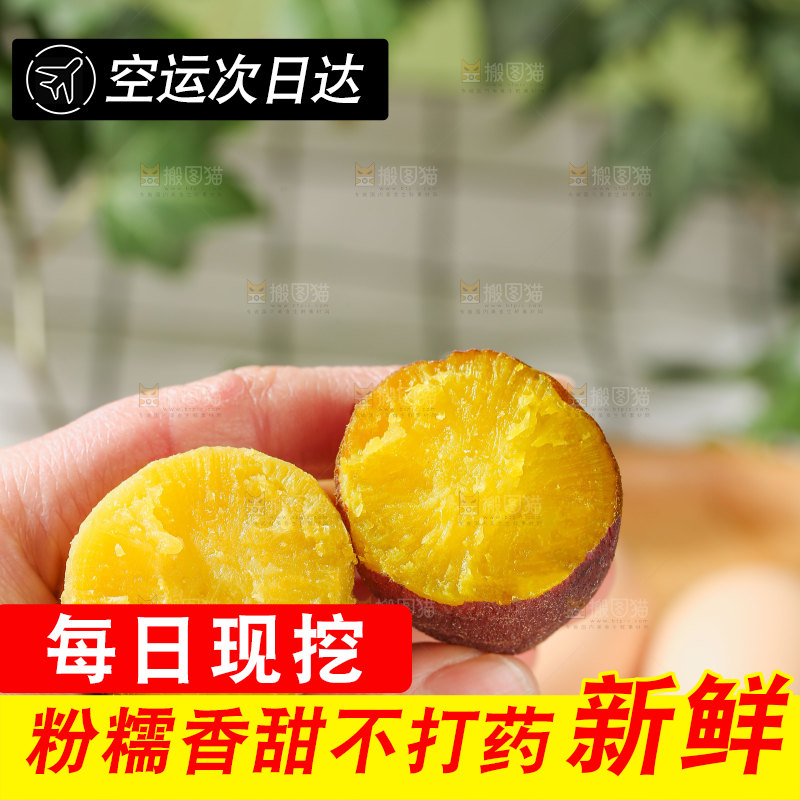 小香薯
