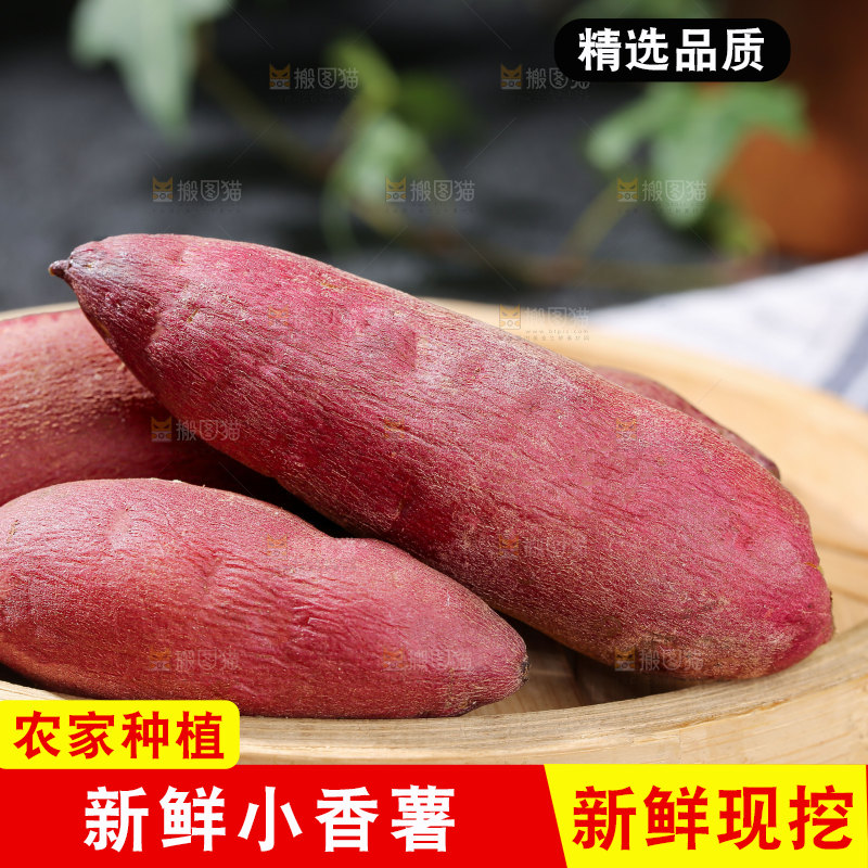 小香薯