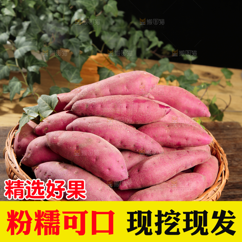 小香薯