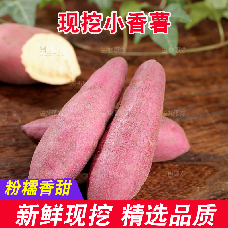 小香薯