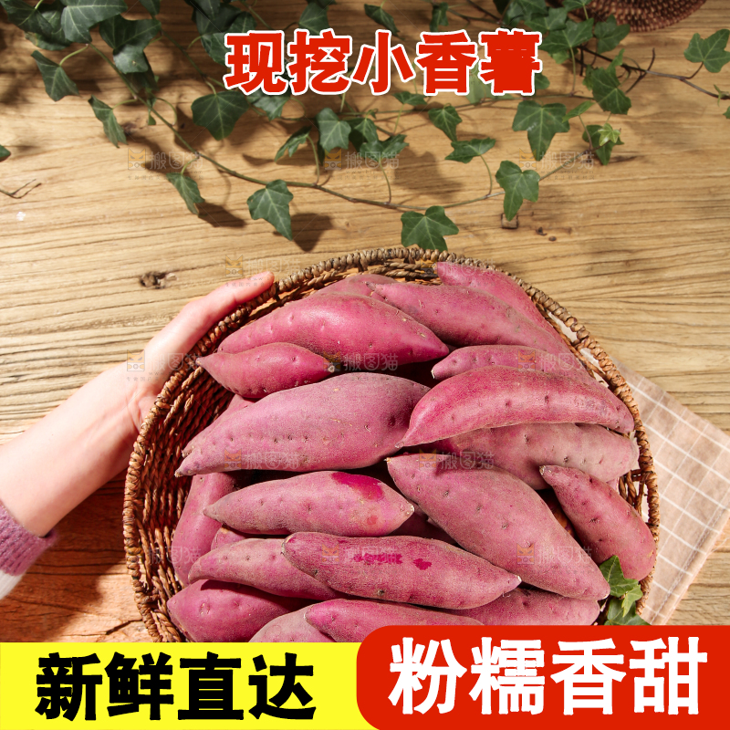 小香薯