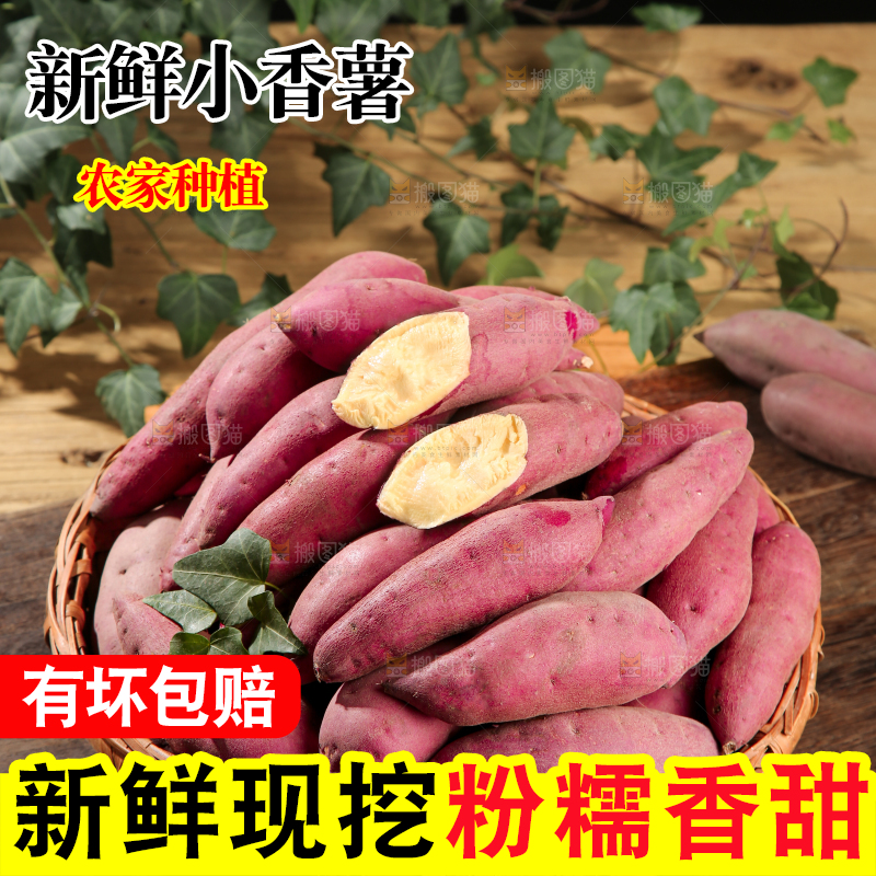 小香薯