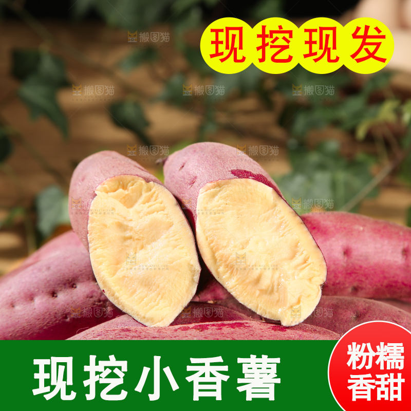 小香薯