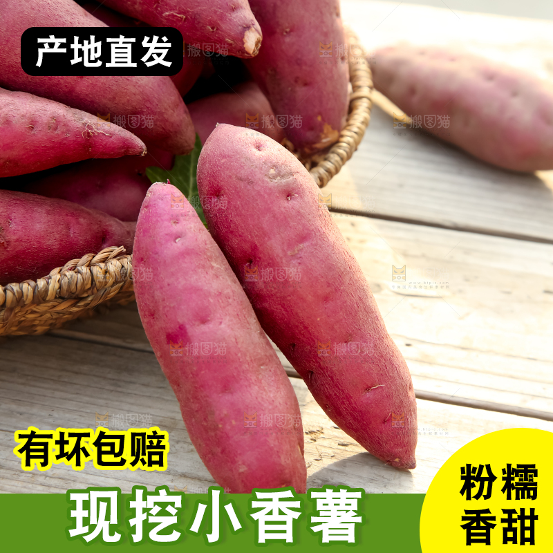 小香薯