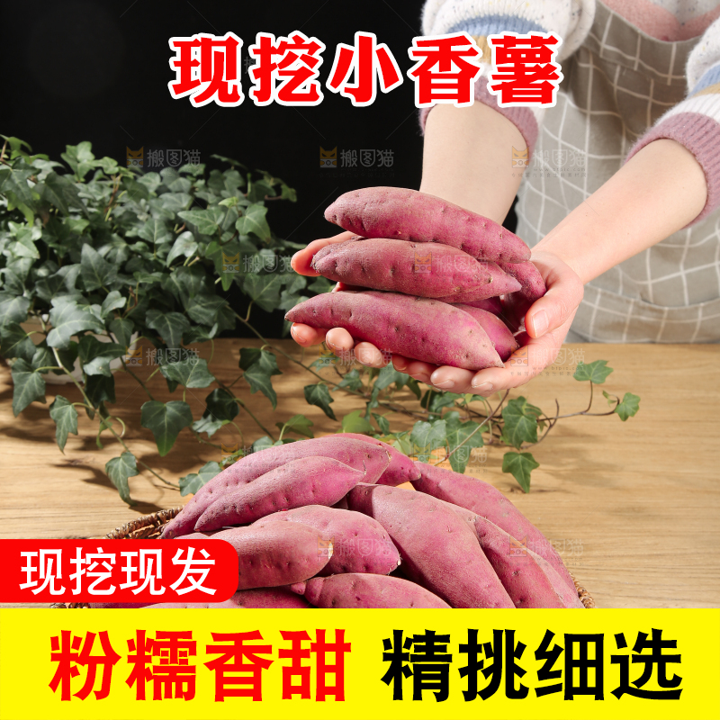 小香薯