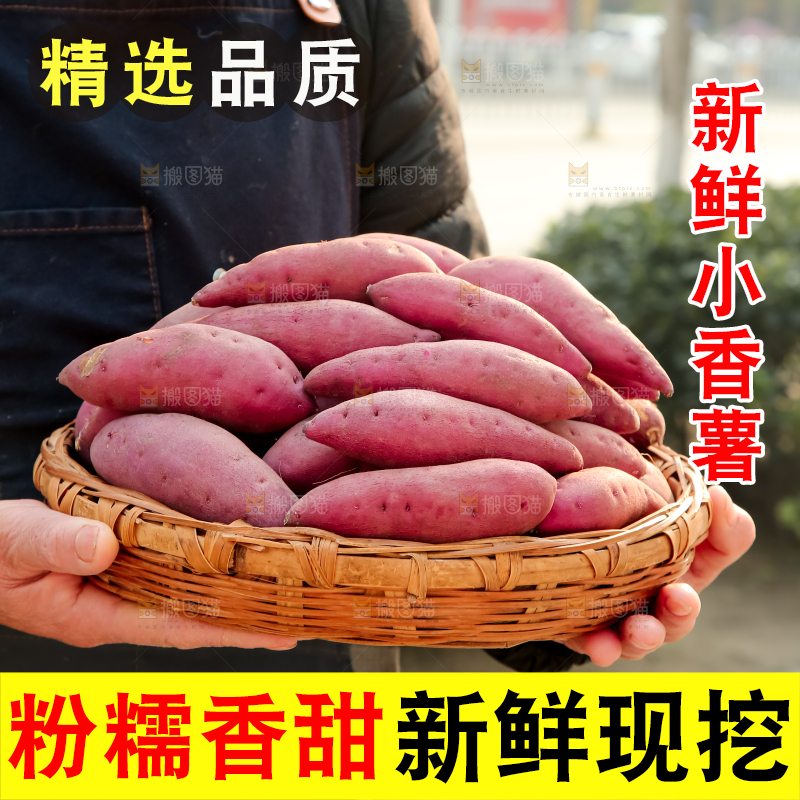 小香薯