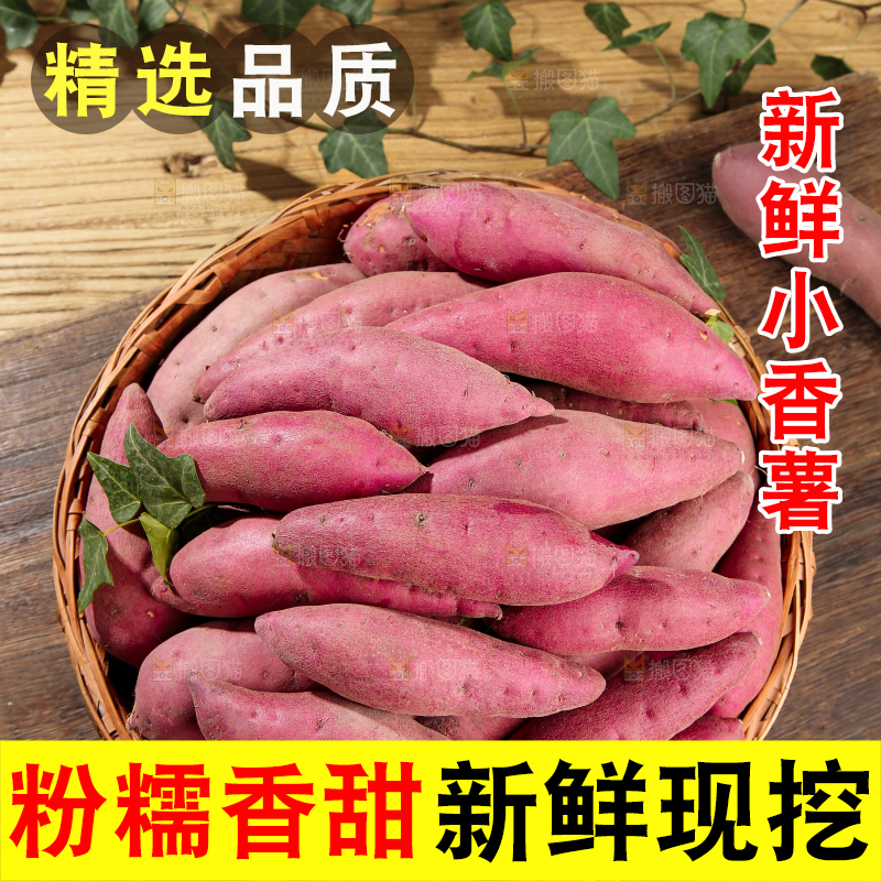 小香薯