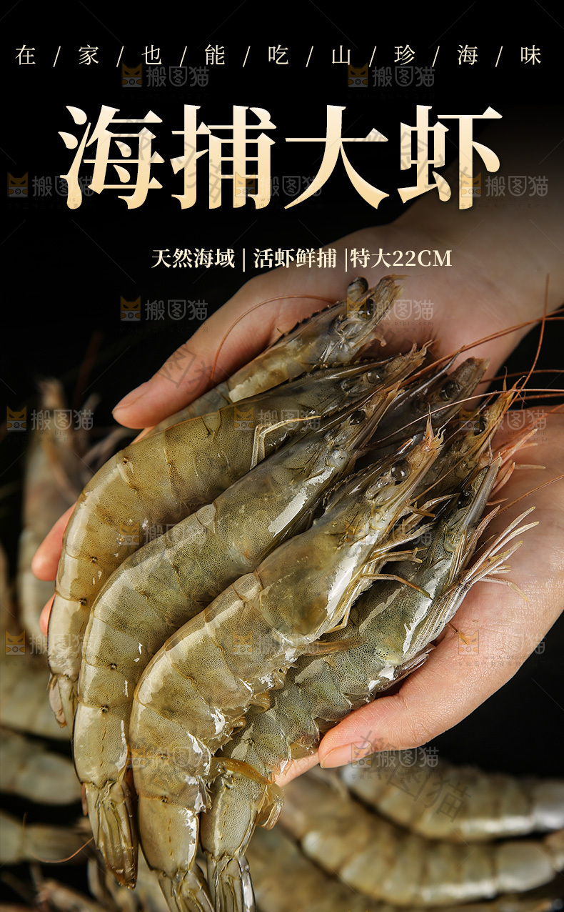 青岛大虾详情页