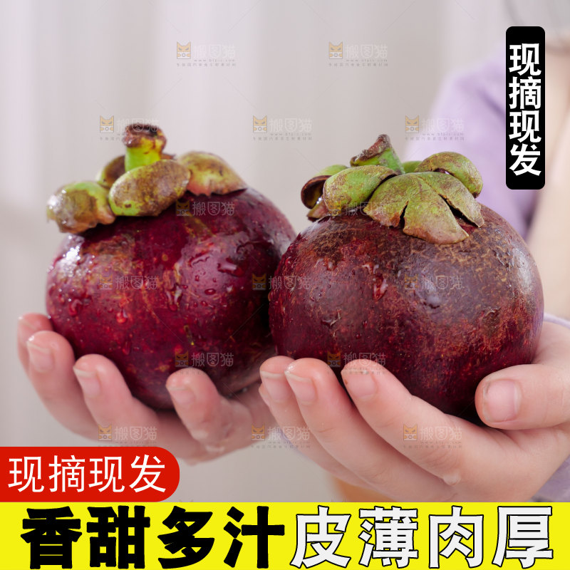 山竹