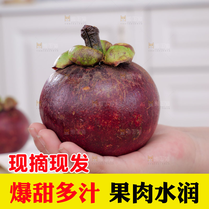 山竹