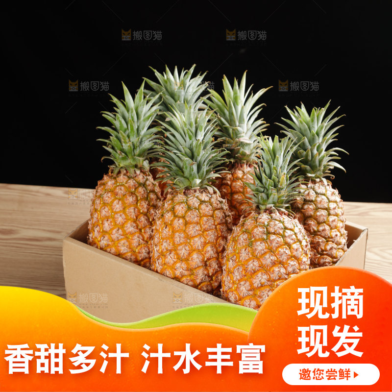 金钻凤梨