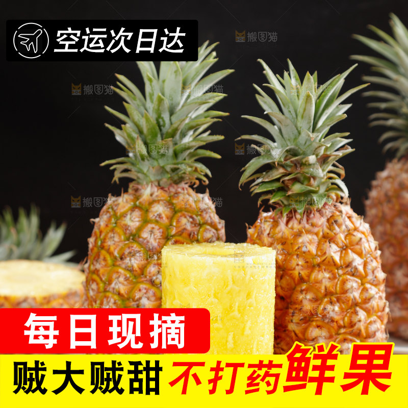 金钻凤梨