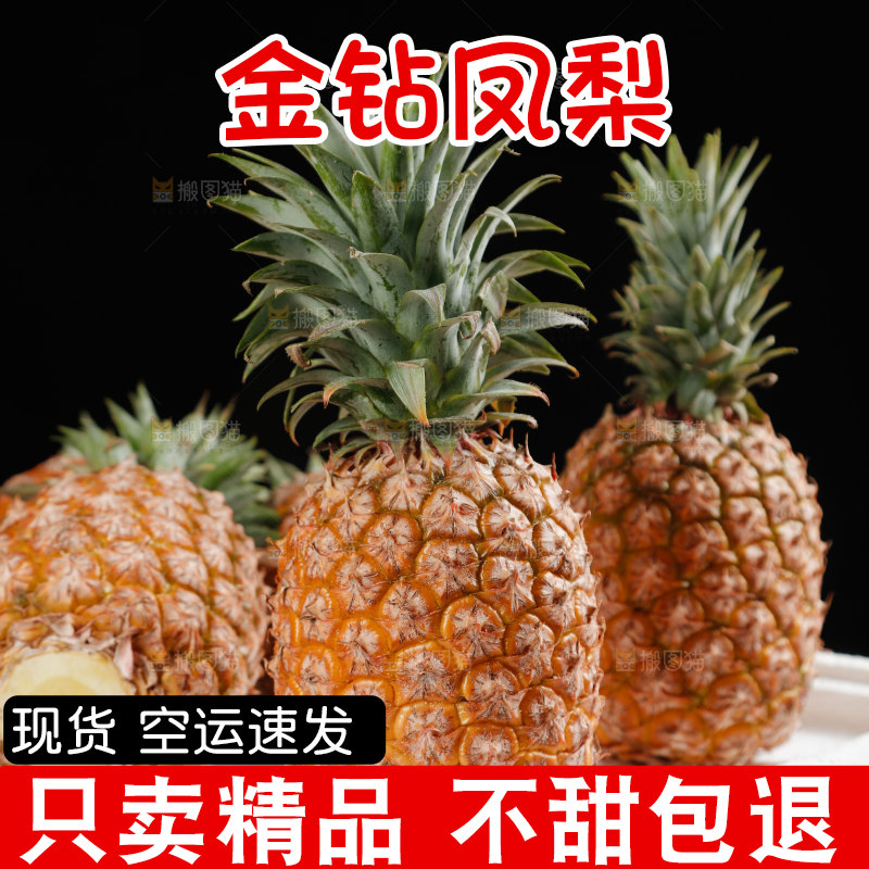金钻凤梨